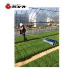 育苗転圧ローラー TR-1000 健苗 苗踏みローラー ケー