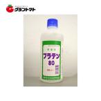 p латиноамериканский 80 500ml×20шт.@ выставка надеты . пестициды солнечный Kei химия [ посылать за товар ]