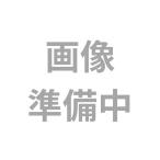 組立式アルミリヤカー専用　ノーパンクタイヤ（アルミホイール）アルミス【取寄商品】