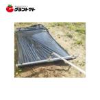 ショッピングトマト マルチローラー マルチハリハリ君 90cm〜150cm対応 シンセイ