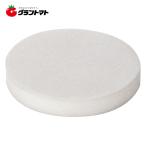 EARTH MAN　ＥＰ?３００用スポンジパッド高儀【取寄商品】