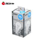 耐震球（Ａ）１００Ｗ高儀【取寄商品】