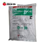 クリンチャージャンボ 1kg(50g×20袋) ノビエ専用水稲用除草剤  農薬