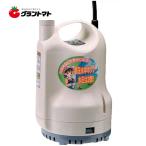 pontiSM-525H 25mm Shimizu для погружной насос высота водяное давление модель 50Hz( Восточная Япония для ) Koshin 