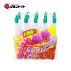 活力液肥洋らん 35ml 10本 ヨーキ産業