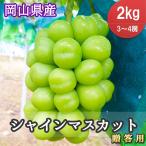 .. для автомобиль in мускат 2kg 3~4.{ Okayama префектура производство вид нет кожа .. виноград утро .. прямая поставка от производителя }