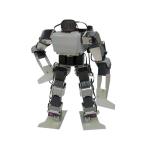 ROBO-ONE custom matsuno специальный [ ограниченное количество * предварительный заказ распродажа ]