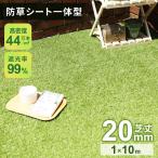 人工芝 ロール 1m×10m 芝丈20mm リアル人工芝 芝生 マット U字ピン22本付 幅1m リアル 人口芝生 超高密度 遮光 除草不要 ベランダ 芝生ロール ブリスク ドリス
