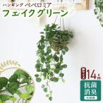 人工観葉植物 光触媒 水やり不要 インテリアグリーン 観葉植物 造花 防臭 殺菌 抗菌 洗浄 ひっかけ紐付き 吊り飾り ハンギング ペペロミア 70cm