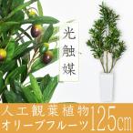 人工植物 観葉植物 DORIS 光触媒 造花 植物 フェイクグリーン 鉢付き リビング 消臭 殺菌 防臭 オリーブフルーツ 125cm 北欧 ドリス