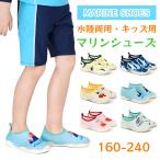 マリンシューズ キッズ ビーチシューズ 女の子 男の子 ウォーターシューズ マリンスポーツ 靴下 キッズ ビーチ 水泳 子供 ジュニア 裸足 軽量 速乾 恐竜柄 動物