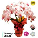 . butterfly orchid artificial flower photocatalyst 3ps.@... not silk flower high class ... rotation opening festival ... festival . opening festival . new building festival . celebration year-end gift Mother's Day deodorization anti-bacterial 