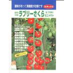 トマト　協和交配・・・ラブリーさくら(００４）・・・＜協和のミニトマトです。　種のことならお任せグリーンデポ＞