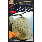 メロン種 みかど交配・・・ルピアレッド・・・<みかど協和のネットメロンです。 種のことならお任せグリーンデポ>