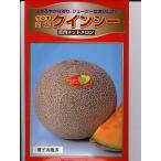 メロンの種　ウエキ交