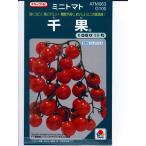 ミニトマト　タキイ交配　千果　タキイのミニトマト種