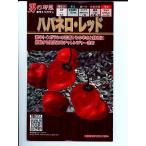 ハバネロ・レッド　トキタ種苗のトウガラシ種