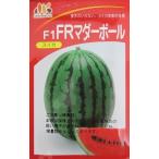 ＦＲマダーボールスイカ　　みかど協和の小玉スイカ品種です。
