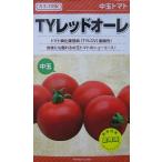 カネコ交配　ＴＹレッドオーレ　カネコ種苗の中玉トマト品種