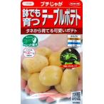 プチじゃが　鉢でも育つテーブルポテト　サカタのタネ