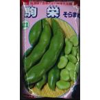 そら豆　駒栄　1L（およそ260粒）　サカタのタネ