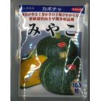  тыква ...100 шарик ( АО )sakata. tane