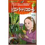  Италия овощи bie тигр *toli colore 60 шарик ( каждый 20 шарик )tokita вид рассада ( АО )