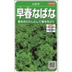 早春なばな 5ml 小袋 (約850粒) 株) (株)サカタのタネ 実咲250 (002982)