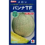 メロン パンナＴＦ 100粒 タキイ種苗