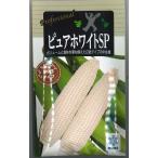 とうもろこし ピュアホワイトSP 200粒 雪印種苗