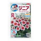 花の種　ジニア　プロフュージョン　チェリーバイカラー　約10粒　サカタのタネ（実咲200）