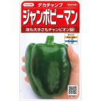  зеленый перец jumbo зеленый перец teka Champ примерно 40 шарик ( АО )sakata. tane реальный .550(002903)