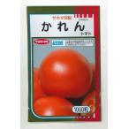 トマト かれん 1000粒 (株)サカタのタネ