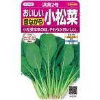  шпинат комацуна . прекрасный 2 номер примерно 2000 шарик ( АО )sakata. tane реальный .350(002947)