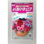  цветок. вид хорошо ..pechunia baccarat IQ Mix примерно 50 шарик реальный .350(027726)