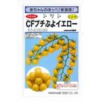  мини помидоры CF маленький .. желтый 100 шарик ( АО ) Watanabe . вид место 