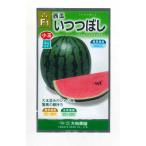 ショッピングスイカ スイカ 小玉西瓜 いつつぼし 7粒 （株）大和農園