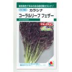  горчица Karashi . коралл leaf перо 6mltakii вид рассада ( АО )GF