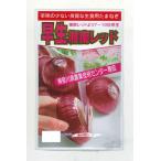  лук репчатый . сырой Shonan красный 20ml Kanagawa префектура вид рассада сотрудничество комплект .
