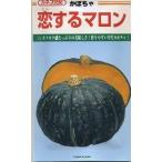  тыква . делать marron 50 шарик ka кошка вид рассада ( АО )