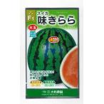 ショッピングスイカ スイカ 味きらら西瓜 7粒 （株）大和農園