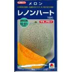  дыня Lennon Heart 100 шарик takii вид рассада ( АО )