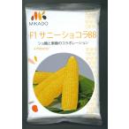 とうもろこし サニーショコラ88 200粒 ヴィルモランみかど