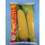 とうもろこし サニーショコラ 2000粒 ヴィルモランみかど