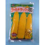とうもろこし　ゴールドラッシュ86　2000粒　（株）サカタのタネ