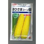 とうもろこし おひさまコーン88 200粒 タキイ種苗