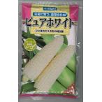 とうもろこし ピュアホワイト 2000粒 雪印種苗