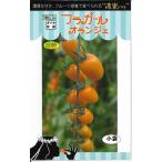  мини помидоры fla девушка o Lingerie 8 шарик tokita вид рассада ( АО )