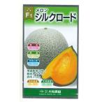 メロン シルクロード 7