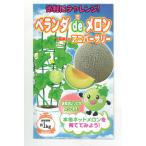  дыня веранда de дыня ( Anniversary ) маленький пакет (5 шарик ) наан to вид рассада ( АО )